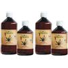 Aloe Arborescens 2x500 ml Soluzione orale