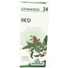 SPECCHIASOL Srl FICUS 24 Gemmosol 50ml