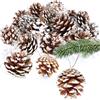 com-four® 25x Ciondoli pigne con Punte Bianche, pigne Come Decorazione