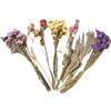 Generico Fiori Secchi Lettiera Per Criceti Decorazione Naturale Per Habitat Di