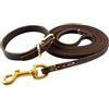 feiling 1.6 m collare e guinzaglio in pelle per cane intrecciato animale domestico guinzaglio con collare Collana martingal Dog Leash Collar per cuccioli piccolo Media cani (cuciture, S)