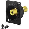 QIANRENON Adattatore RCA per montaggio a pannello AV, placcato oro, presa RCA femmina a femmina, connettore 75Ω A/V, XLR/tipo D, per TV, amplificatore audio video, giallo