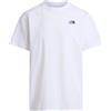 THE NORTH FACE M VERTICAL REGULAR SHOR