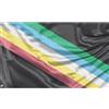 Generic Bandiere Da Giardino Visually Safe Disability Pride Bandiere Decorative Lavabile Outdoor Bandiera Antivento Banner Giardino Per Sport Giardino Interno 90X150 CM