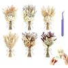 Soodyoow 6 Pezzi Fiori Secchi, Bianco Mini Bouquet di Fiori Secchi Naturali, Fiori Secchi Decorativi, Fiori Secchi per Bomboniere per Bomboniere, Vasi E Artigianato
