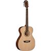 Washburn Apprentice Series F5 - Chitarra Acustica Folk a 6 Corde