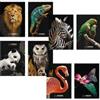 Blasetti MAXI QUADERNONI BLASETTI QUADRETTI 1 CM CON MARGINE CONF. 10 PZ ANIMAL