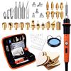 Preciva 45 Pezzi Kit Pirografia Legno, 60W Portatile Kit Saldatore,Temperatura 220° C a 480° C,Attrezzi Incisione Professionale lavori Pirografo su Cuoio Legno,Custodia per il trasporto