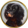 Gordon Setter Distintivo di Lapel Pin