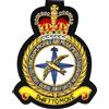 UK Mobile Air Movements Squadron UKMAMS Distintivo Da Giacca Ricamato RAF