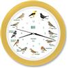 KOOKOO Singvögel RC crema gialla, orologio cantanti con 12 uccellini native e registrazioni sonora dei canori originali dalla natura