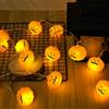 AUAUY Halloween Catena Luminosa a Batteria, 3 Metri 20 LED, 2 Modalità | Luci Halloween Zucca, per Halloween, Decorazione Interno e Esterno, Giardino, Albero, Festa