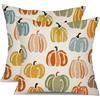 DIELOVEHUA 2 Pezzi Federe per Cuscini Autunnali, Zucca Federe Autunnali 45 x 45 cm, Decorativi Cuscini Divano in Lino per Ringraziamento Halloween Divano Sedia Camera da Letto (A)