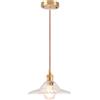iDEGU Lampada a Sospensione in Vetro, 22CM Lampadario a Sospensione Vintage E27 Plafoniera Retrò Paralume Vetro Creativo Lampada da Soffitto per Cameretta Soggiorno Isola Cucina Bar (Trasparente)