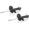 GH Coppia Ammortizzatori a Gas Anteriori D+S per Mini Cooper,One R50,R52,R53 2002-