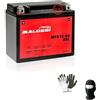 MOTO SPORT MONDO COMPATIBILE CON APRILIA RSV R Tuono (RPB00) 1000 dal 2002 al 2005 BATTERIA IN GEL MALOSSI MTX12-BS GIA' PRONTA ALL'USO ATTIVATA IN FABBRICA BATTERIE 10 AH AMPERE 12 VOLT