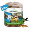 Detox Organica Gammarus 500ml - Mangime per Tartarughe d'Acqua | Gamberetti 100% Naturale - Senza Additivi - Ricco di Proteine, Calcio, Minerali (500ml)