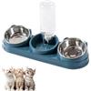 JTOOYS Set di ciotole per gatti 3 in 1 e ciotole per acqua, ciotola per gatti in acciaio inox, inclinabile a 15°, doppia ciotola per gatti con distributore automatico di acqua per animali domestici, ciotola