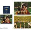 Donald Lemke Harry Potter Quidditch Match 2-in-1 Double-Si (Mixed Media Product)