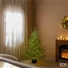 Enzo De Gasperi EDG Enzo De Gasperi Pino Lucciole 1600 Rice Led con Vaso H150 cm