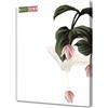 Pintdecor Lavagna PENSIERO TRA I FIORI G6808 PINTDECOR