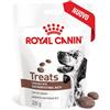 Royal Gastrointestinal Treats Dog 230 gr