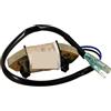 VortexLumen Gruppo bobina eccitatrice 3AA-06021-0 3AA060210M compatibile con motore