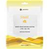 Miin Korean Cosmetics Jkosmec Skin solution snail mask