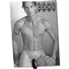 Orion Pin-up Calendar Real Cocks 2027