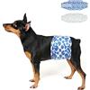 Dono Pannolini per cani maschi, 20 pezzi,fasce per cani maschi, pannolini cane, super assorbenti, fasce per la pancia per la marcatura del cane, minzione eccitante, addestramento,XS,S,M,L