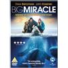 Universal Pictures Big Miracle (DVD) James LeGros Tim Blake Nelson Rob Riggle Stephen Root