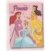 hermet Princess, Morbido e Caldo Plaid, Coperta Plaid Divano Per Bambini, Coperta Letto Singolo, Marvel, Disney, 100x150 cm