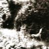 Syd Matters Ghost Days (CD) Album