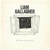 Liam Gallagher All You're Dreaming Of (Vinyl LP) 12" Single Coloured Vinyl