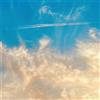 Thirty Seconds to Ma It¿s The End Of The World But It¿s A Beautiful D (Vinyl LP)