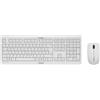 CHERRY DW 3000 - Set tastiera e mouse - senza fili - 2,4 GHz - Germania - Interruttore a chiave: CHERRY LPK - Grigio pallido