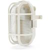 Velamp Applique ovale in plastica + vetro. Attacco E27, max 60W - Bianco