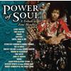 Various Artists Power of Soul: A Tribute to Jimi Hendrix (CD) Album
