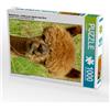 Calvendo Beatlemania - Puzzle da 1000 pezzi con alpaca di colore marrone intenso, dimensioni 480x640mm, marca CALVENDO; codice prodotto: 7417127