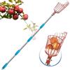TAILERNRUYE Raccogli frutta regolabile con manico telescopico e cestino, 3 m, ideale per la raccolta di mele, arancia, avocado, limone, pera e mango