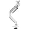 NEOMOUNTS Supporto da scrivania da schermi curvi 17-49'' Neomounts 100x100 65.3x12x56.8cm 18kg acciaio Bianco [DS70PLUS-450WH1]