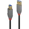 Lindy Cavo Lindy Usb 3.2 Gen 1 1m Nero [36741]