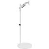 MACLEAN Supporto Tv Maclean MC-970W 17-35" Bianco [AJMCLMMACMC970W]