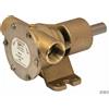 Johnson Pompa Raffreddamento Johnson F5B-8 in Bronzo - Pompa completa