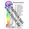 Tanja Aeckersbe Steuerzentren Wirbelsäule: A5 (Lehrtafeln: Übersich (Ungebunden)