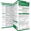 Inge Baumeister Pivot-Tabellen (PivotTable) Microsoft Excel 365 / Ex (Tascabile)