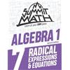 Alex Joujan Summit Math Algebra 1 Book 7 (Tascabile)