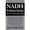 George D. Birkmayer Nadh: the Biological Hydrogen (Tascabile)