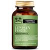 SALUGEA LIPOSAN FORTE NF SALUGEA 60CPS - SALUGEA - 984324083