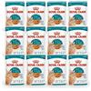 ROYAL CANIN 12X85G Royal Canin Feline AGEING 11+ JELLY